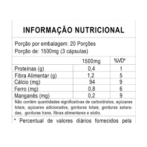 Segundo Slide
