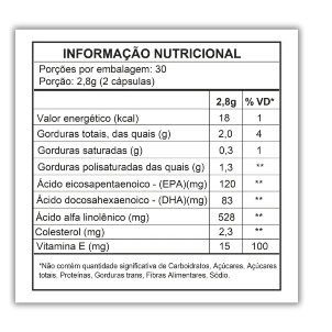 Segundo Slide
