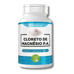 Segundo Slide